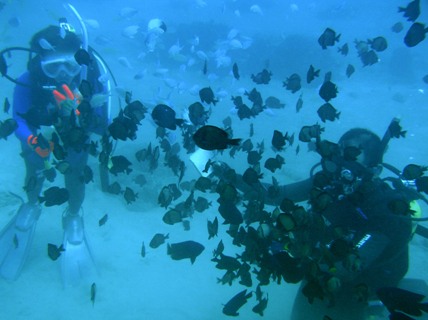 e0023100_1934957.jpg