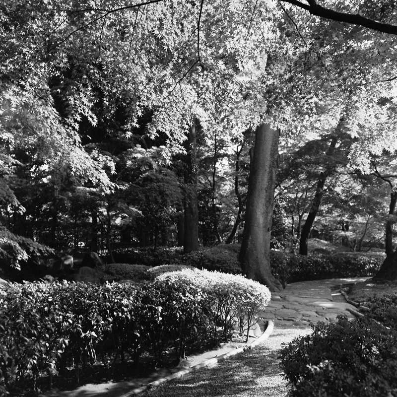 f0109201_927261.jpg