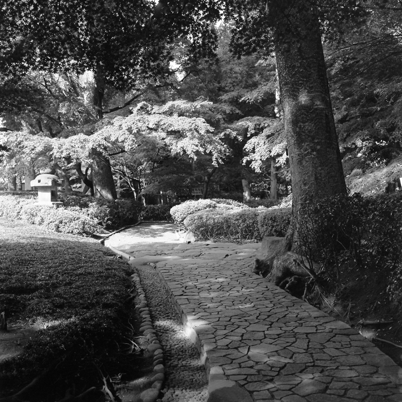 f0109201_927449.jpg