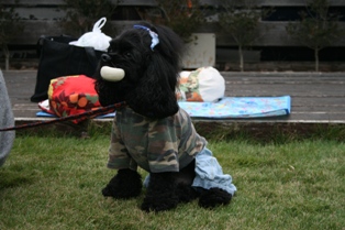 c0128303_2243857.jpg