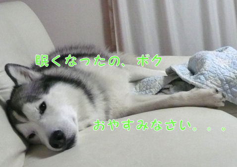 f0112407_0391379.jpg