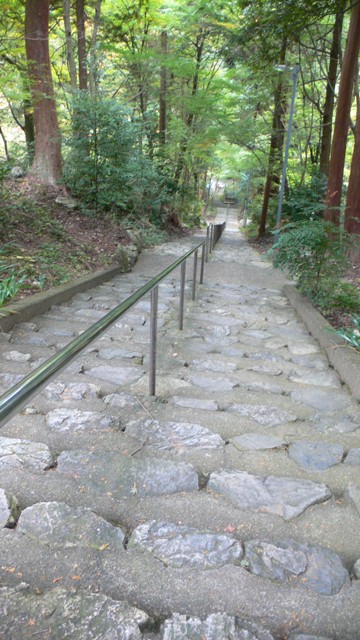 f0167007_2159477.jpg