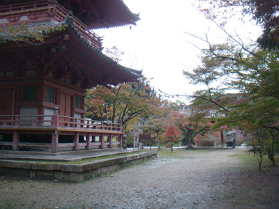 a0019212_10192342.jpg