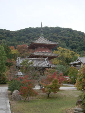 a0019212_10313366.jpg