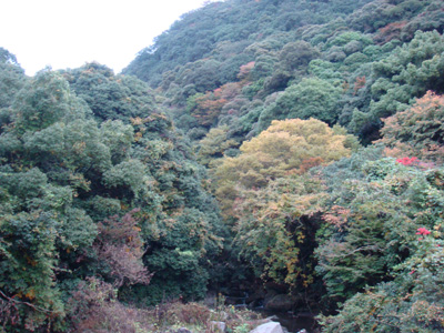 a0019212_1034446.jpg