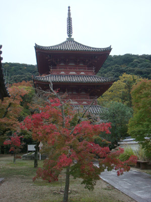 a0019212_1064557.jpg