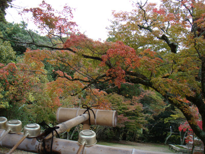 a0019212_1075746.jpg