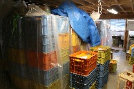 e0085113_11164331.jpg