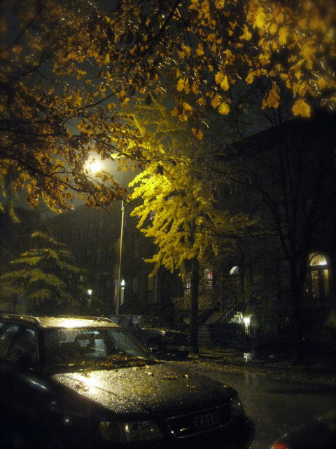 c0120817_0414044.jpg