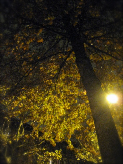 c0120817_0422415.jpg