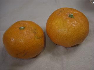 c0005619_20525385.jpg