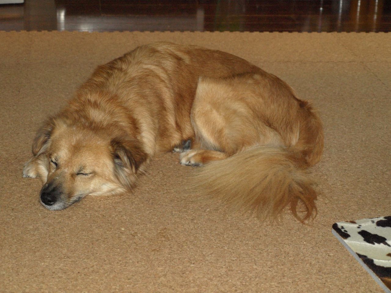 c0150520_1347137.jpg
