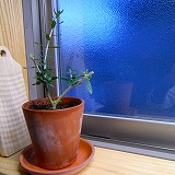 c0094621_16472280.jpg