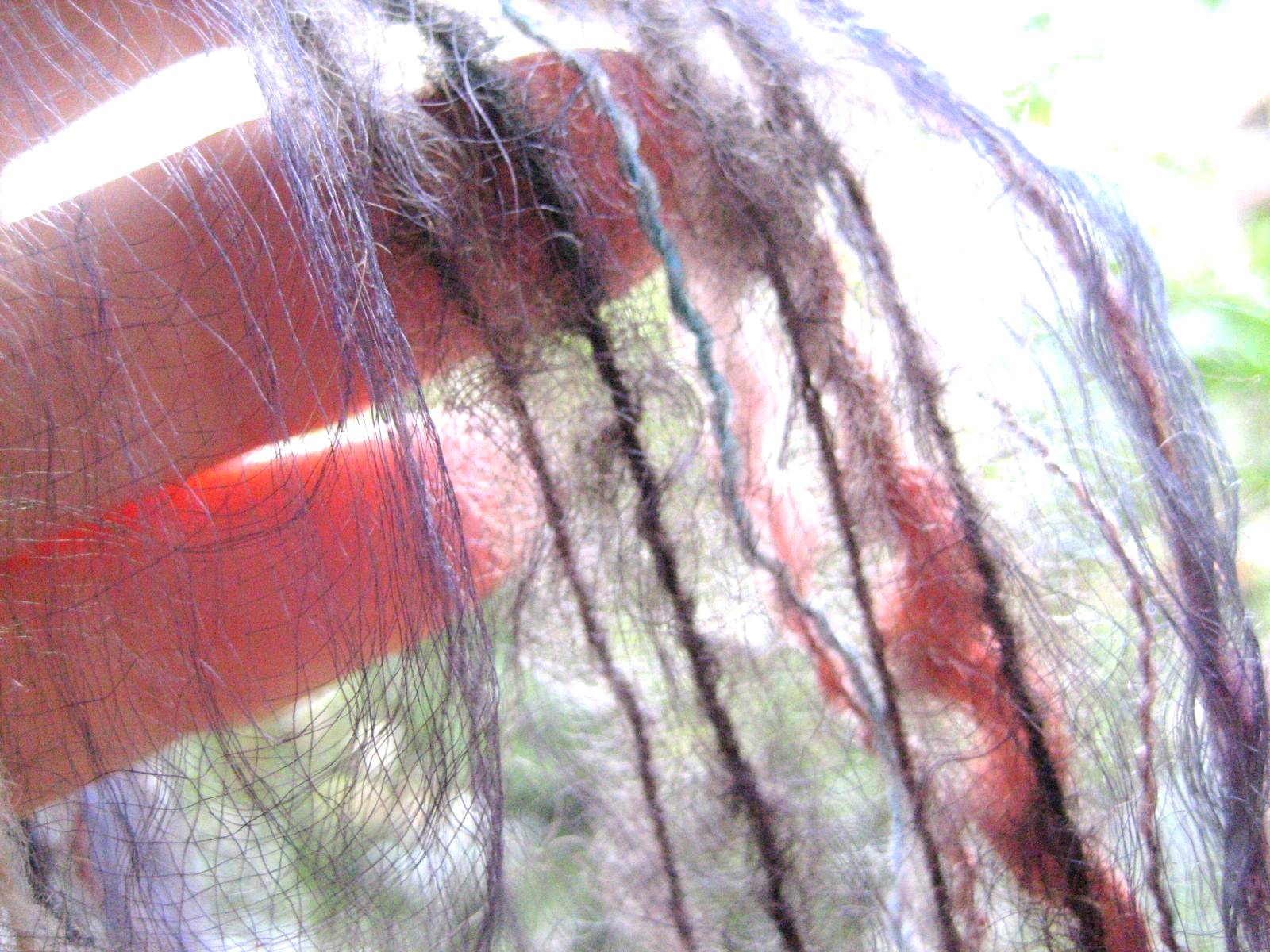 f0031722_16215825.jpg