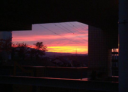 b0068423_21212355.jpg