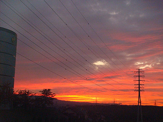 b0068423_2121658.jpg
