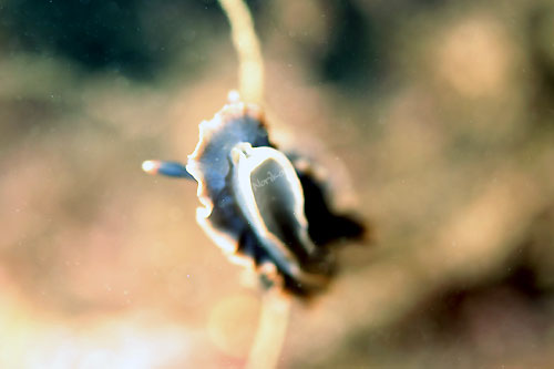 b0044726_23221426.jpg