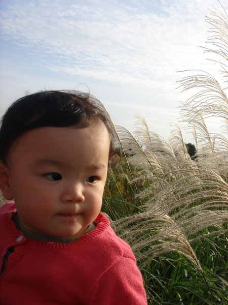 d0151227_1518434.jpg