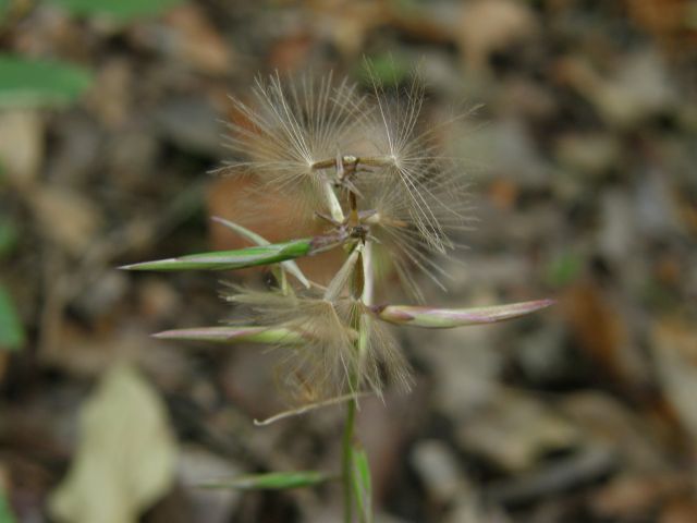 e0145033_1504010.jpg