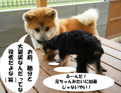 f0008935_9425936.gif