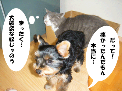 f0008935_943953.gif