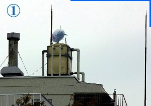 b0012636_21521864.jpg
