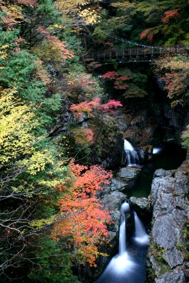 e0083238_2223755.jpg