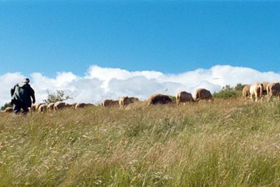 f0035251_1193145.jpg