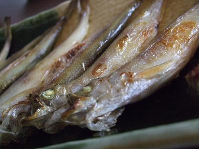 f0149057_04282.jpg