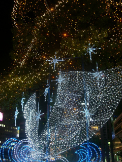 f0176458_04213.jpg
