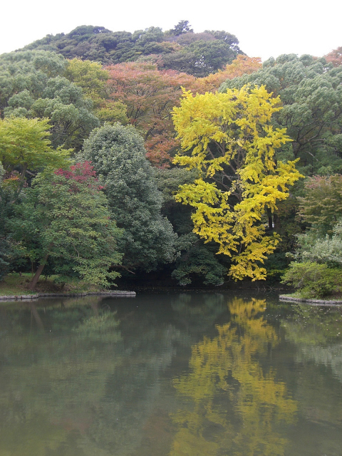 f0176458_10591471.jpg