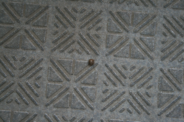 e0158561_21293652.jpg
