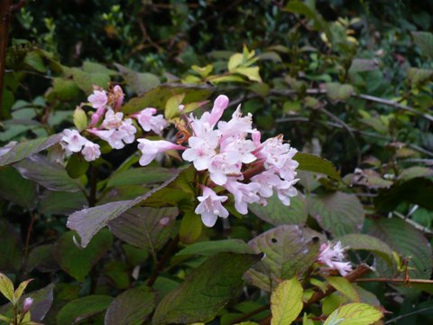 a0063364_22561033.jpg