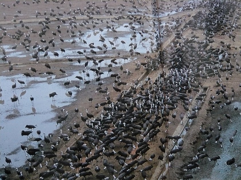 f0037467_1935377.jpg