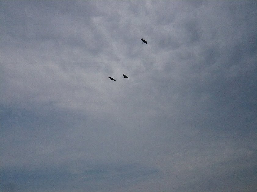 f0037467_1938461.jpg