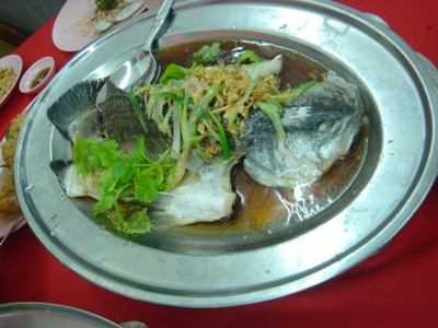 c0102268_0385229.jpg