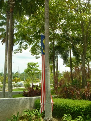 c0102268_041538.jpg