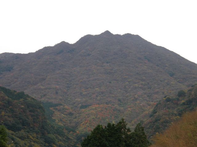 c0042869_18395447.jpg