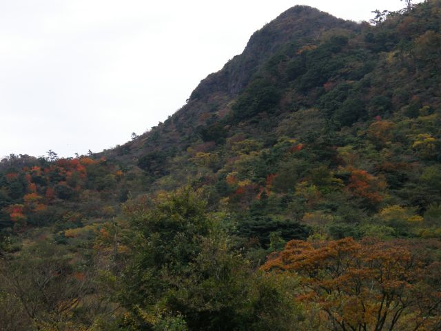 c0042869_18404018.jpg