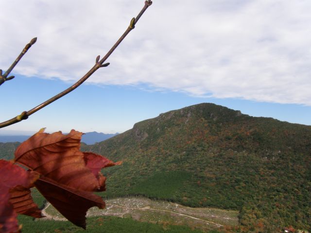 c0042869_18433759.jpg