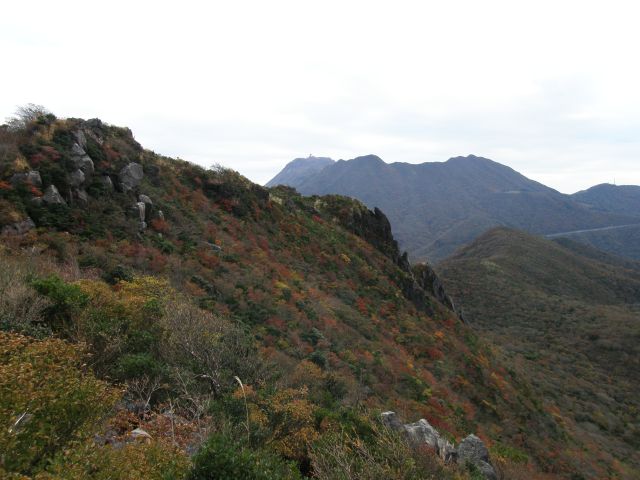 c0042869_18495850.jpg