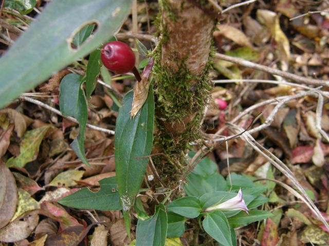 c0042869_18511438.jpg