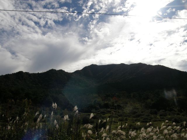 c0042869_1913557.jpg