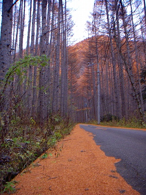 f0182173_13223992.jpg
