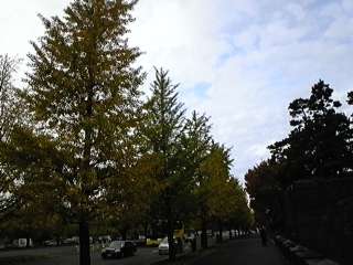 f0014183_10424936.jpg