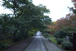 b0003089_21304618.jpg