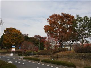 e0121589_21292976.jpg