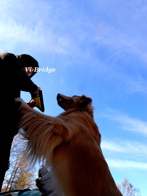 a0093592_22512728.jpg
