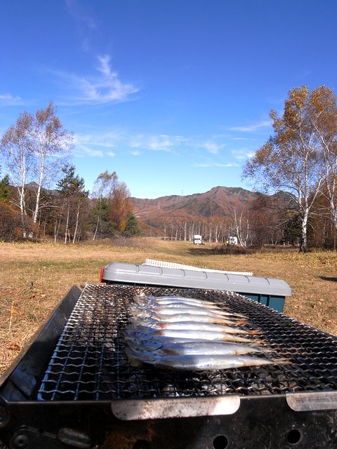 a0093592_23271786.jpg