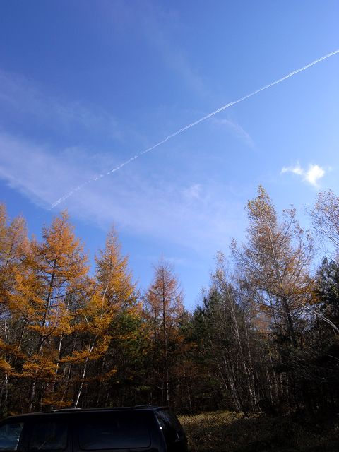 a0093592_23294749.jpg